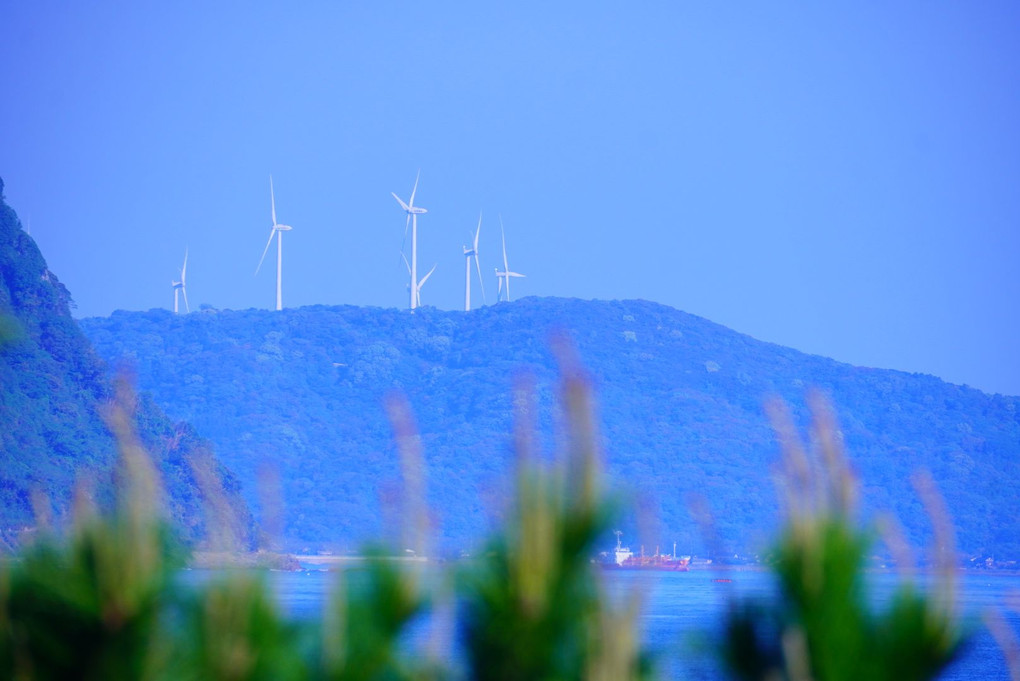 5月の海