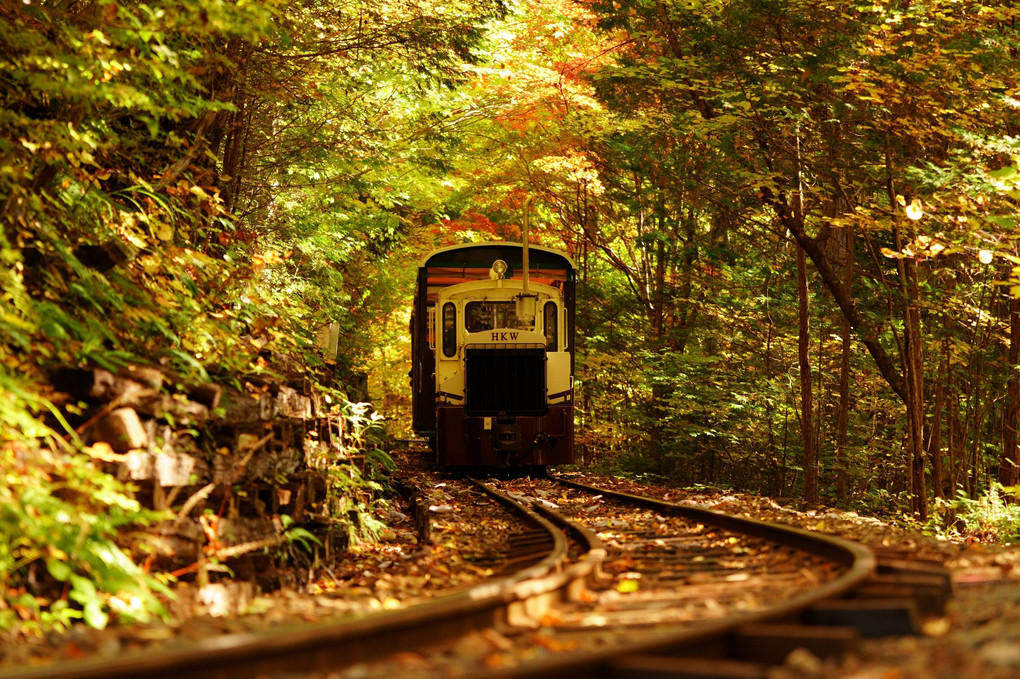 紅葉と森林鉄道