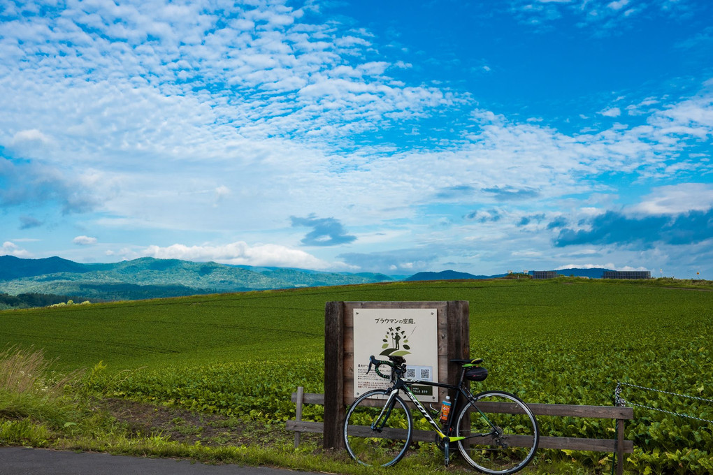 自転車と風景。