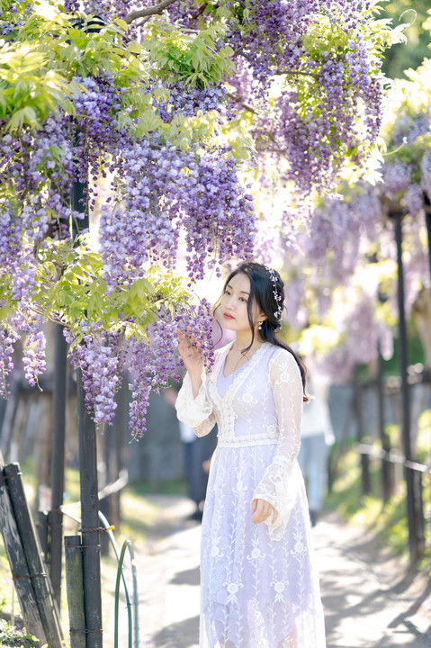 Yuri(ゆり)さん　♪藤の花公園♪撮影会①
