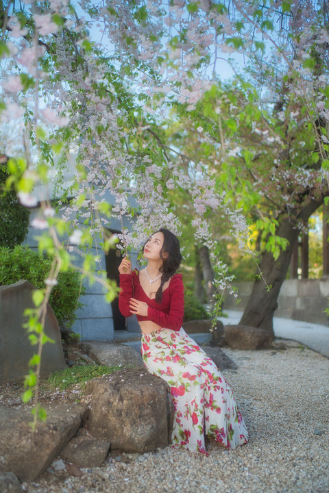🌸桜の咲くお寺…撮影会③😄🌸