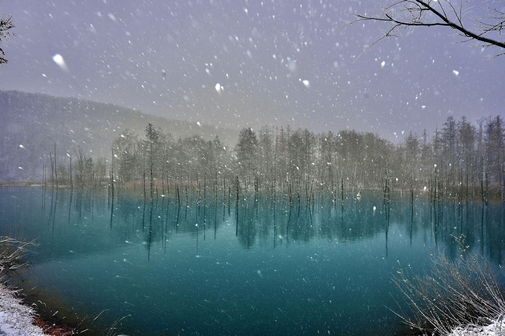 雪の青い池