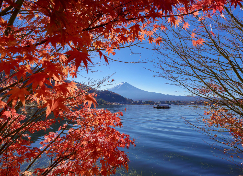 河口湖から臨む富士山