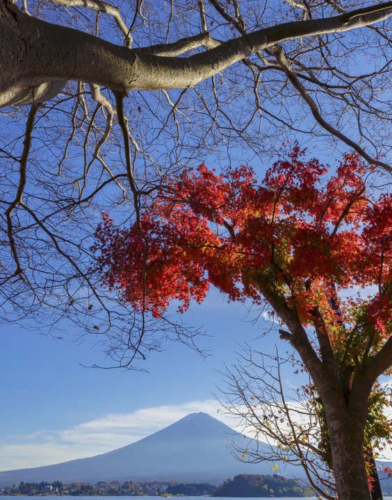 河口湖から富士山を臨む　その２