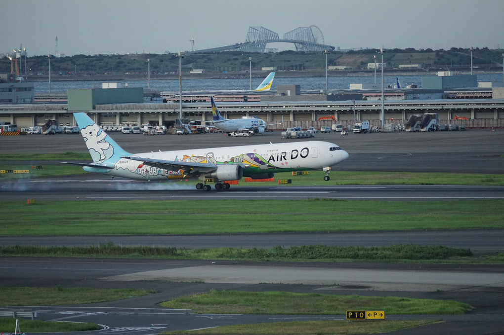 Air DO Bear JA602A タッチダウン