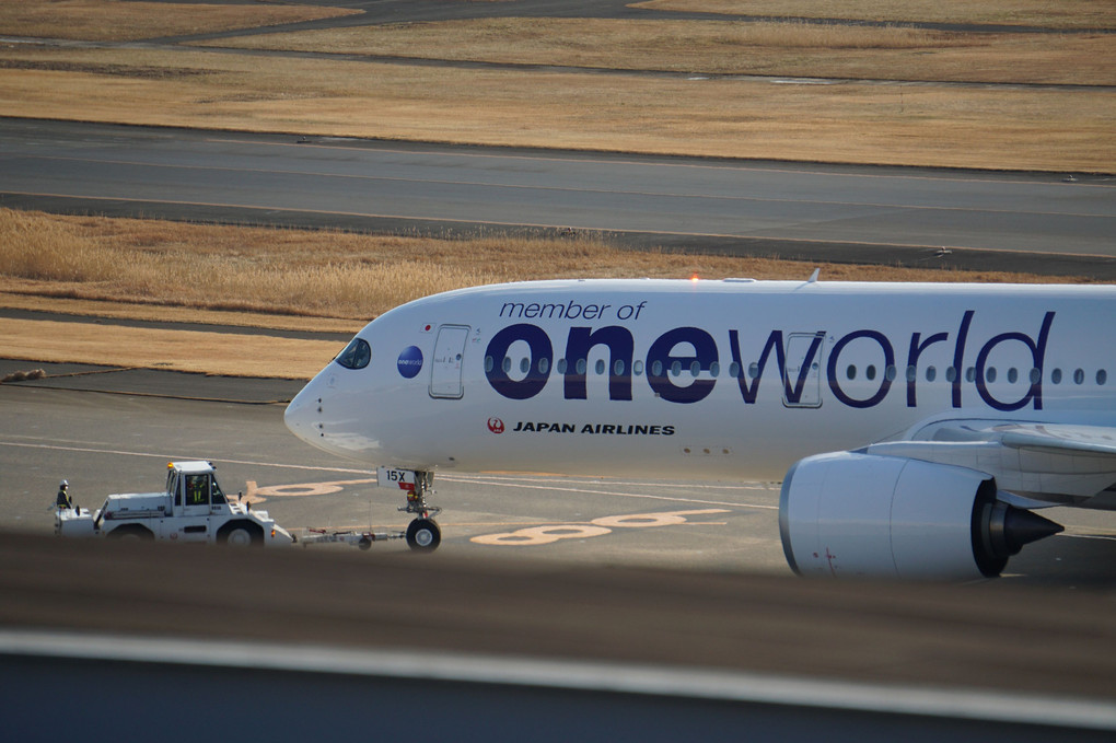 ONE WORLD & TEAM USA & A350