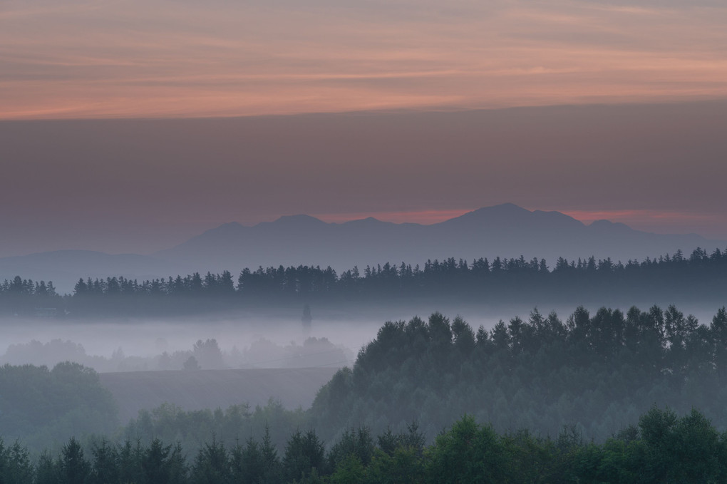朝霧の新栄の丘