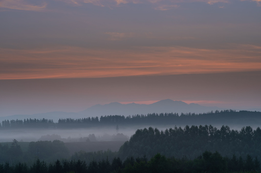 朝霧の新栄の丘