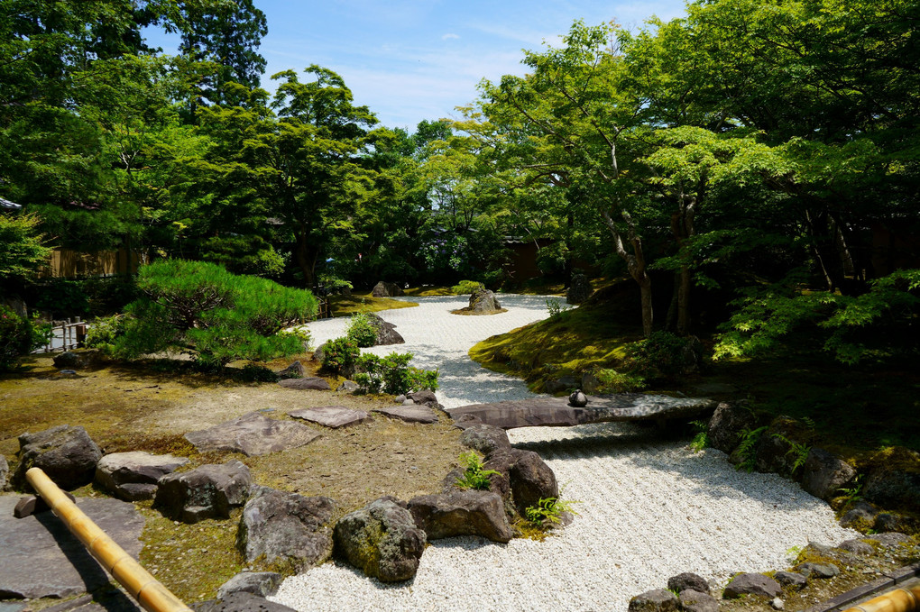 松島の名庭園　円通院