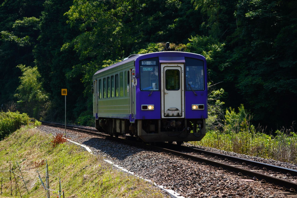 ローカル線(JR関西本線・キハ120形)