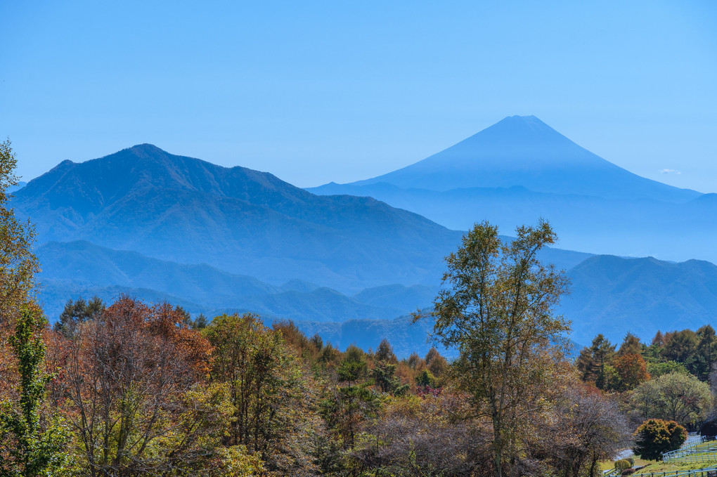 高原の富士