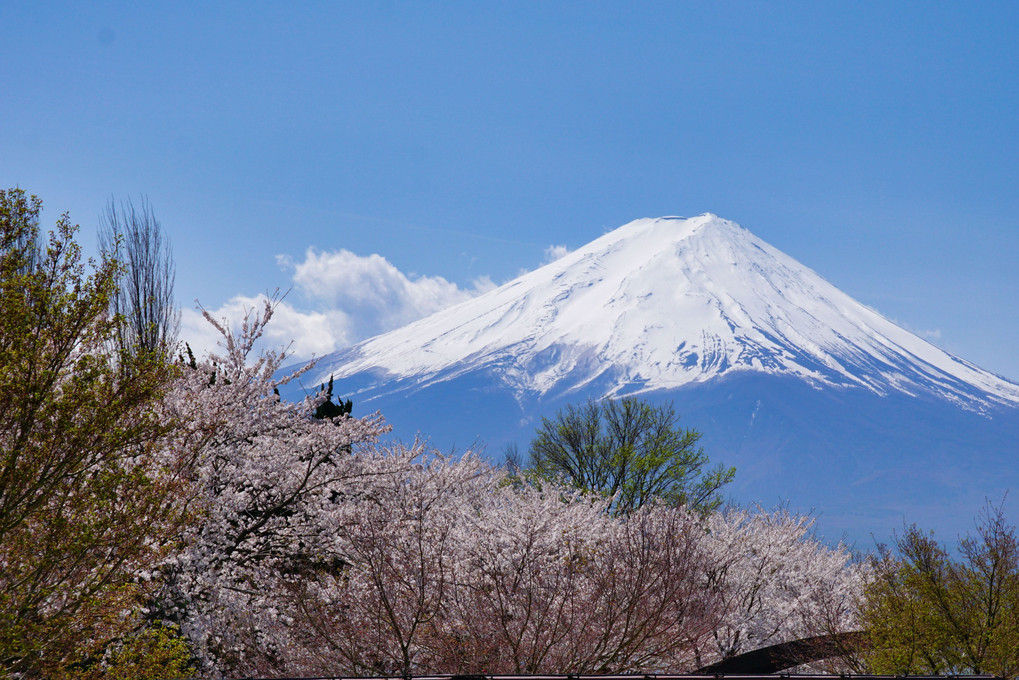 富士の四季Ⅱ