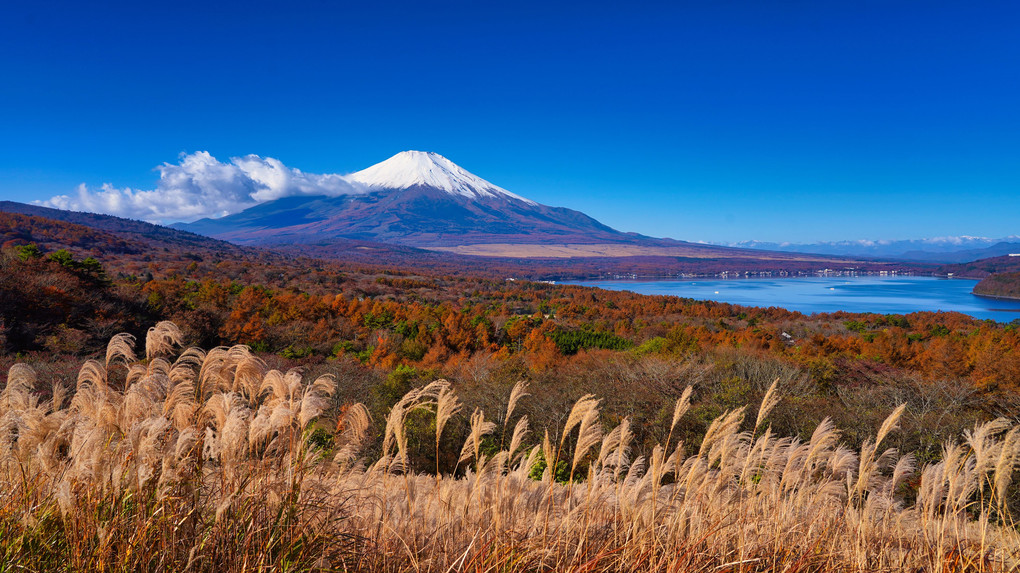 富士の秋Ⅱ
