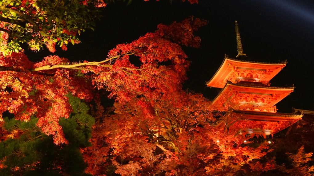 ～秋の夜長～　清水寺・秋の夜間特別拝観