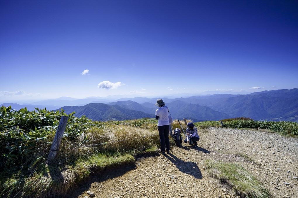 [ 紅葉 ] はじめました！【仙ノ倉山】[ 秋晴れの絶景 ]