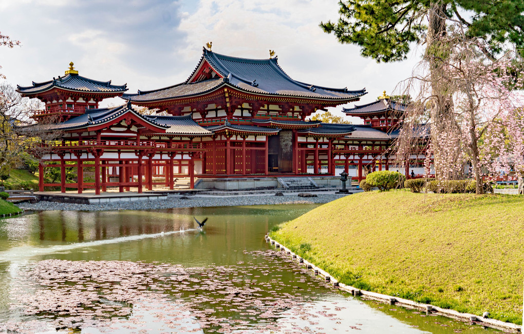 春への飛翔　宇治平等院