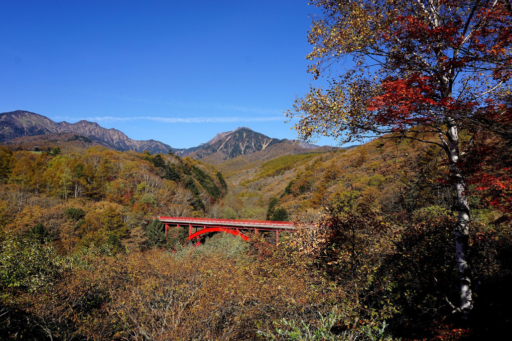 「紅葉の八ヶ岳と赤橋」