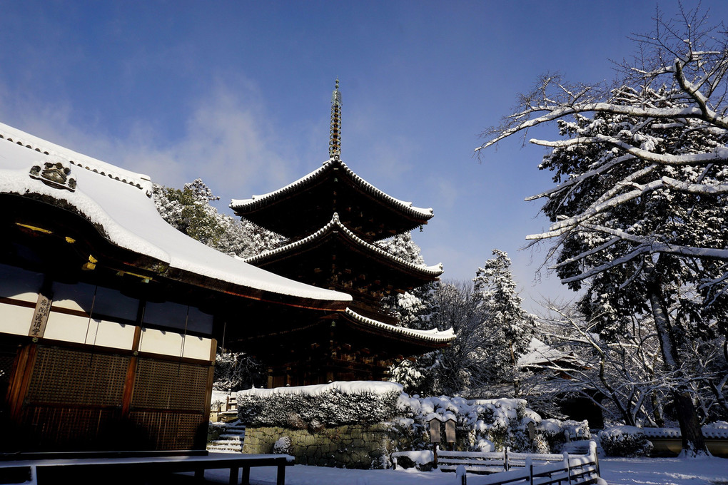 「冠雪の三井寺三重塔」