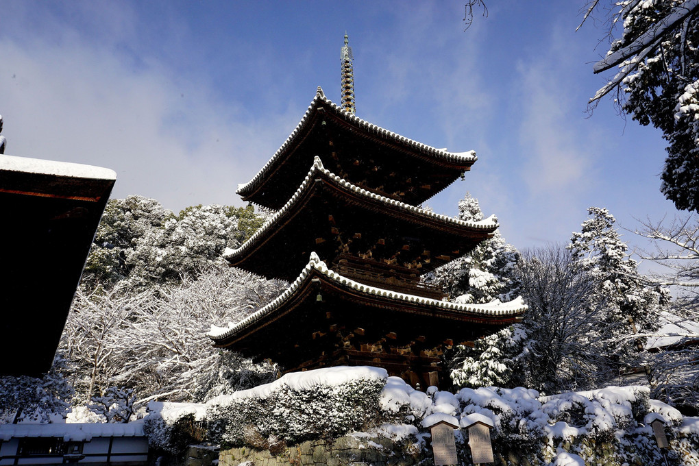 「冠雪の三井寺三重塔」