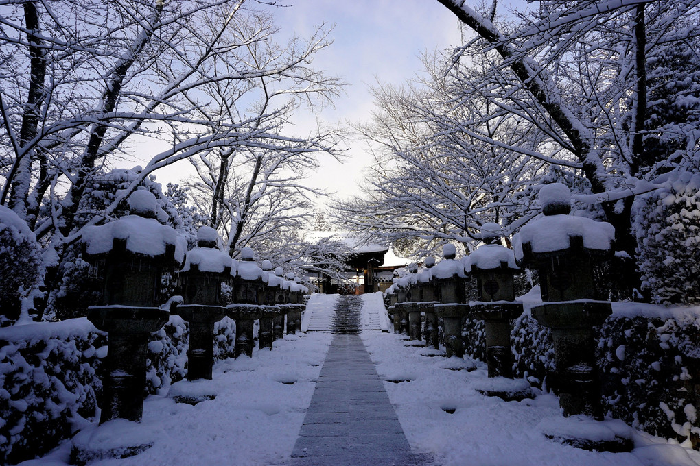 「雪の三井寺参道」