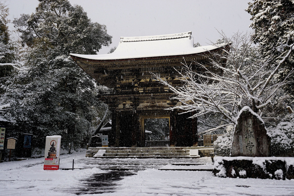 「雪の三井寺山門」