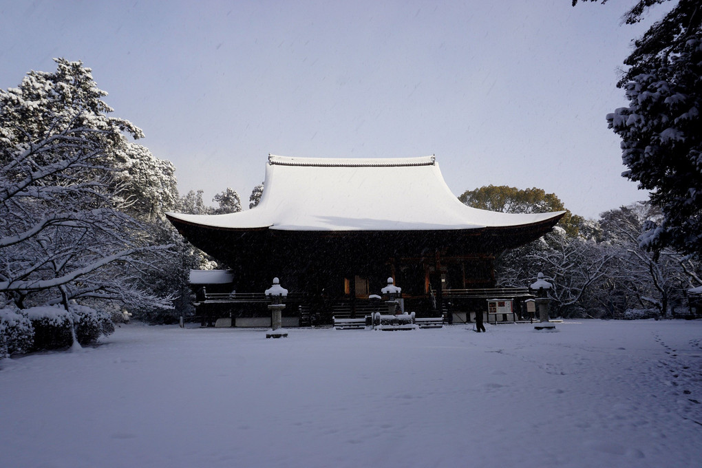 「雪の三井寺山門」