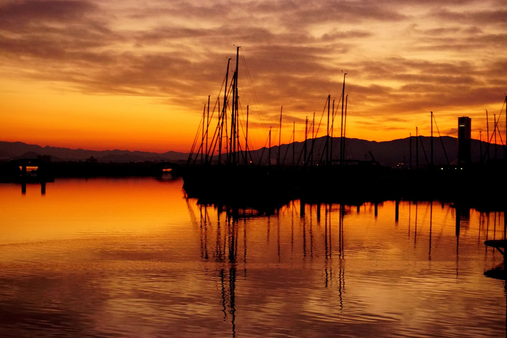 「ヨットハーバーの夜明け前」