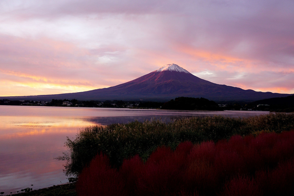 「朝焼けのコキア富士」