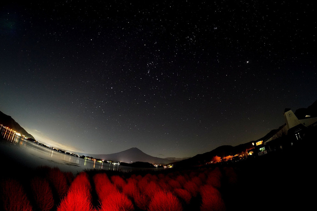「満天の星空とコキア富士」