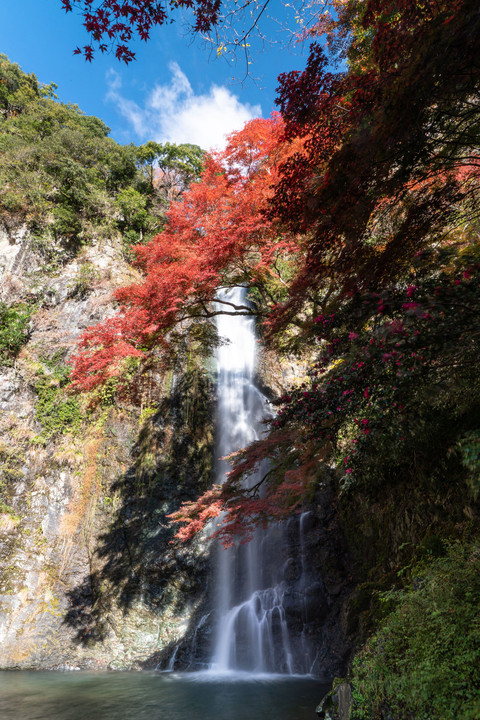 滝と紅葉