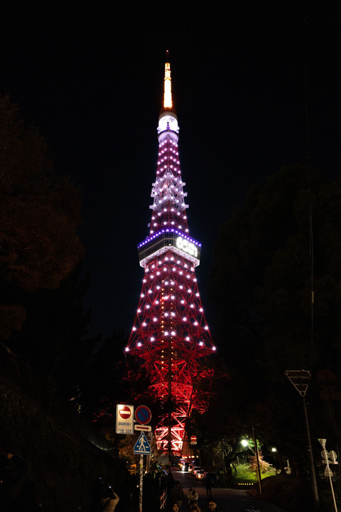 東京タワー　 祝65周年