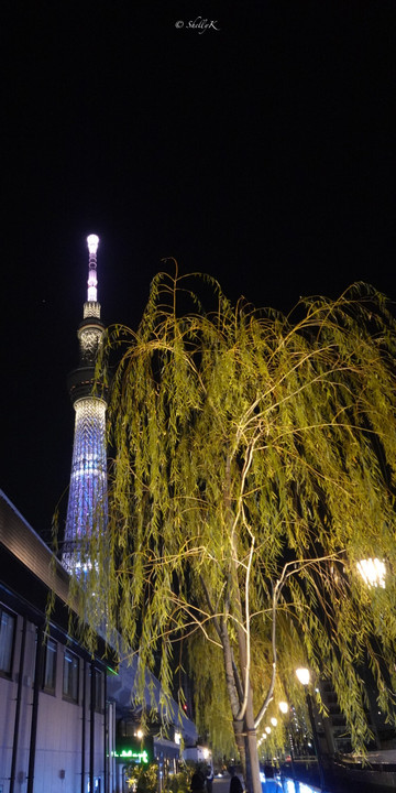 2022年12月イベント参加🎄