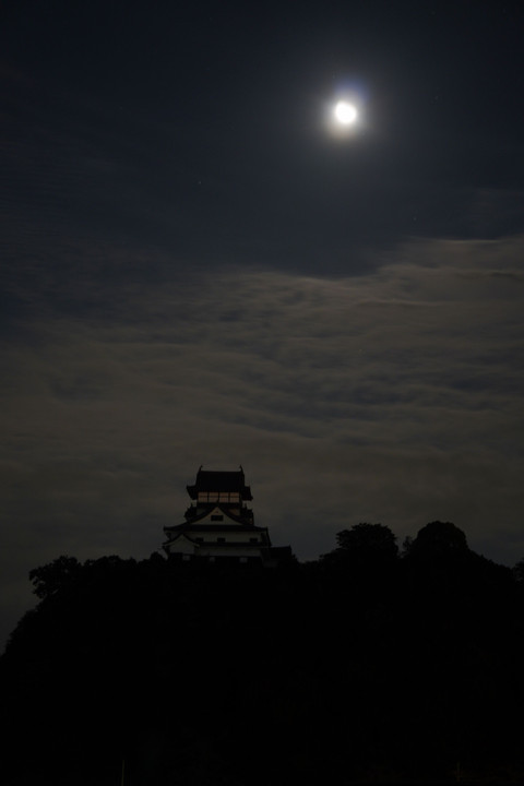 秋の夜長に名城と月