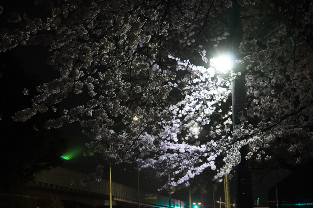 危険な帰り道