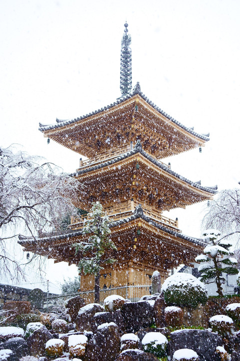 菩提寺の雪景色