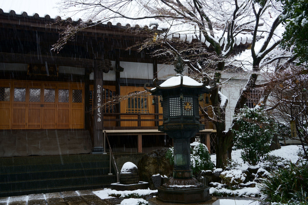 菩提寺の雪景色