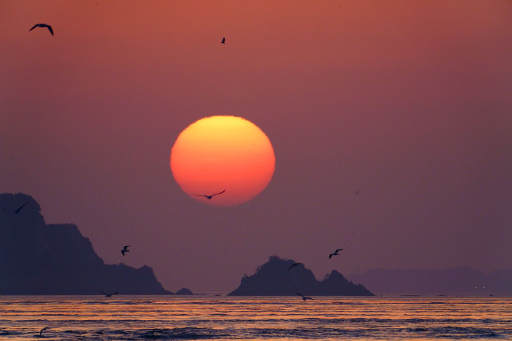 瀬戸内の朝景（来島海峡）