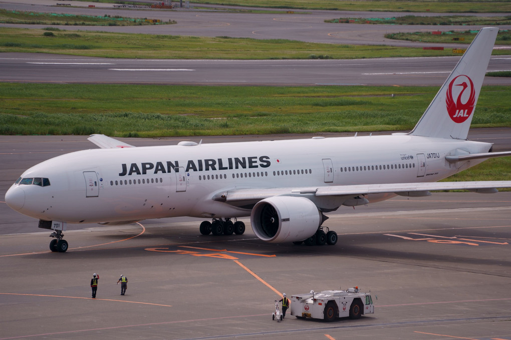白き日本の翼