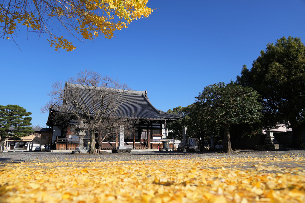 京都　妙覚寺