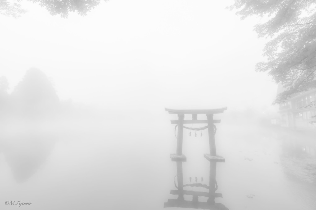 朝霧の金鱗湖（4）