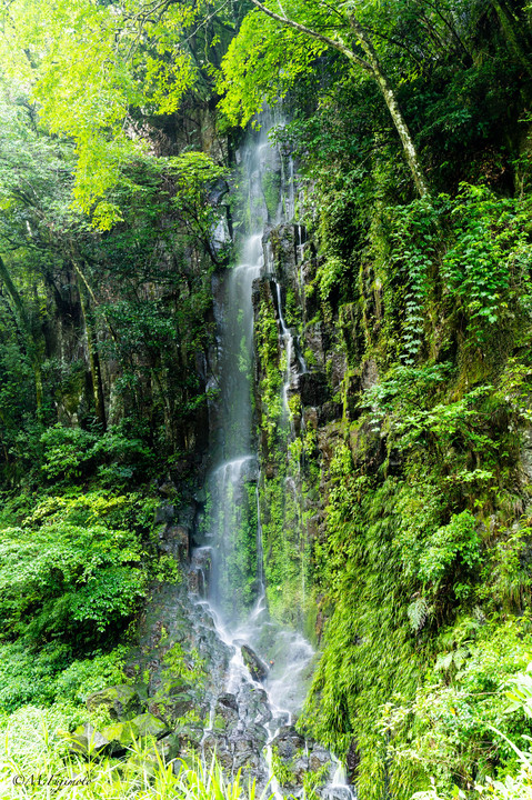 高千穂峡