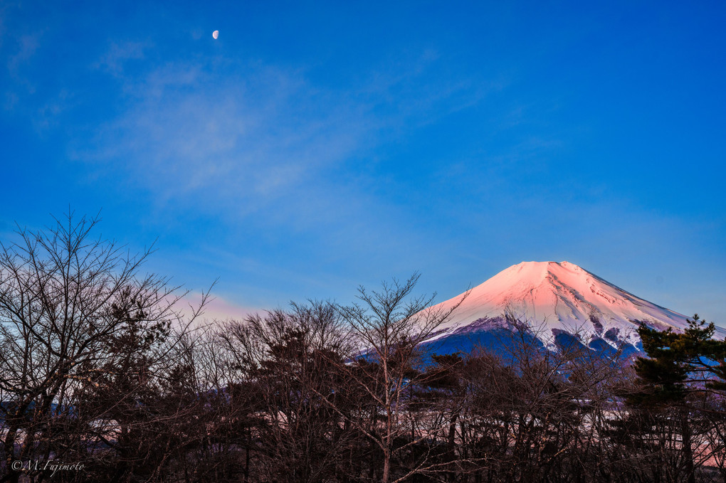 朝日を浴びた富士と月