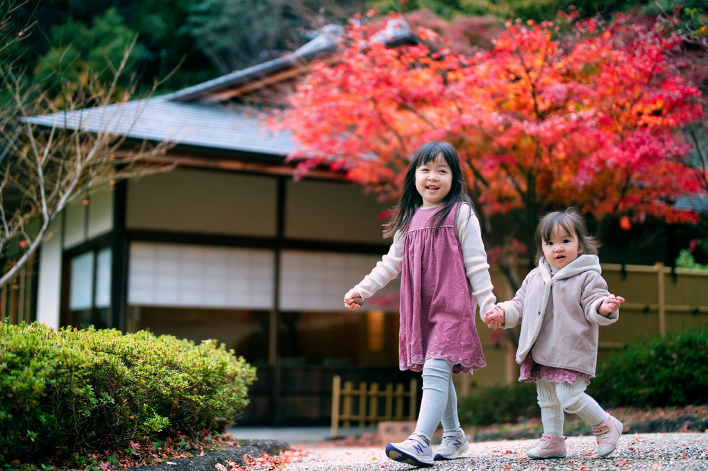 日本の秋、おしとやかに姉妹