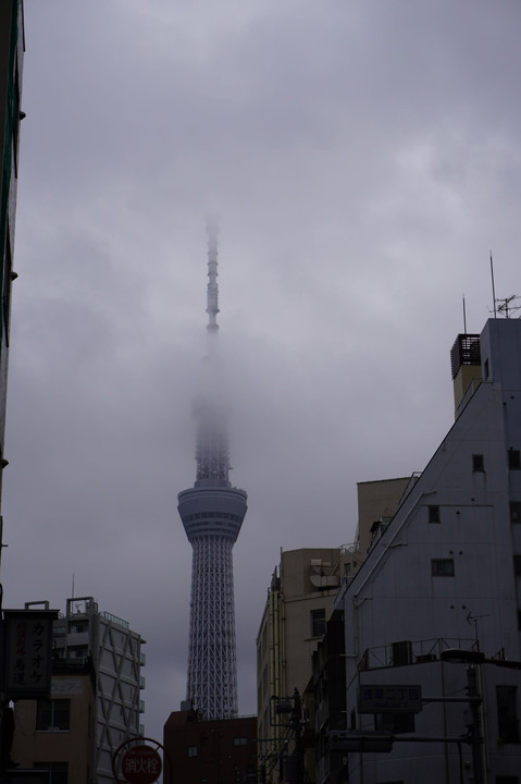 霧に霞むタワー