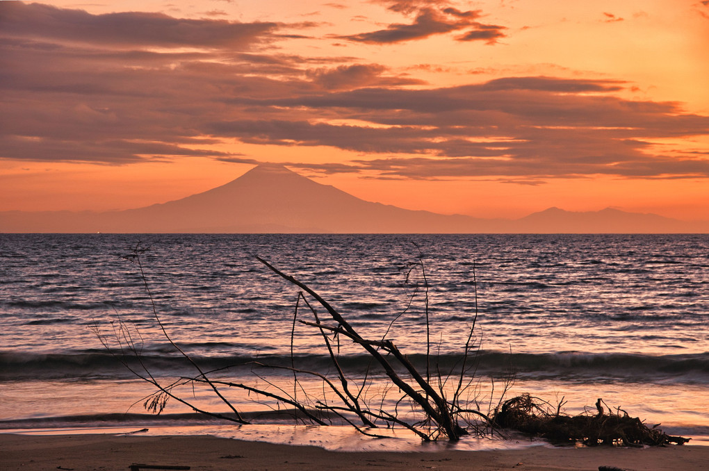 早朝に海岸から見えた富士山