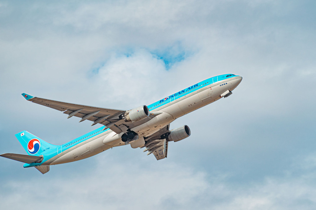 成田市　さくらの丘　離陸する飛行機