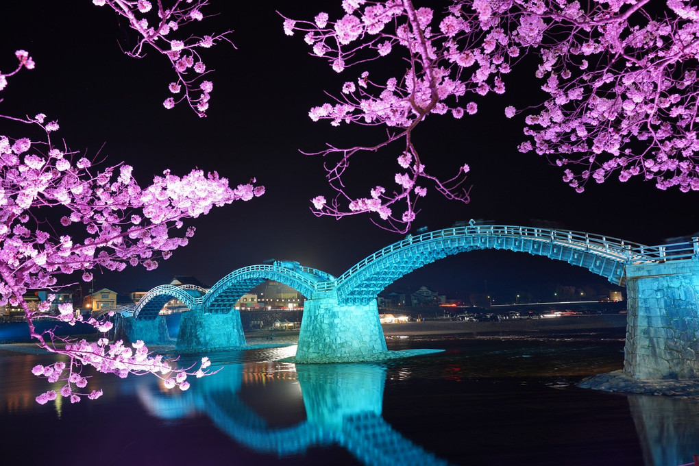 錦帯橋のライトアップ。