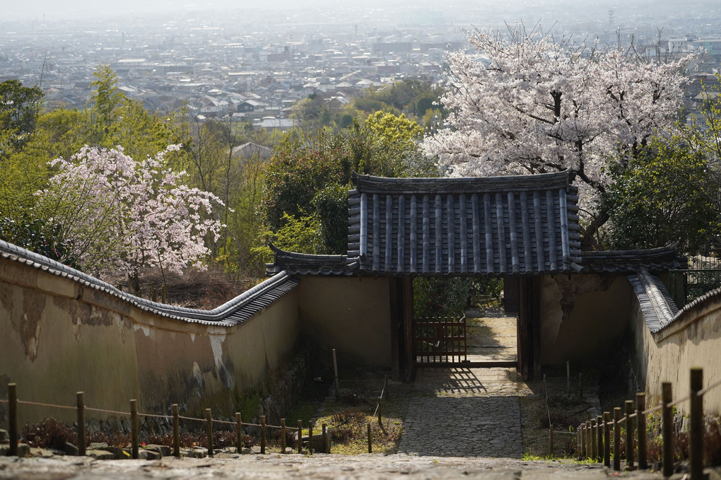 白毫寺