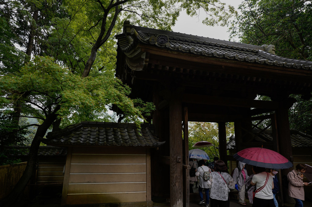 雨の鎌倉散歩