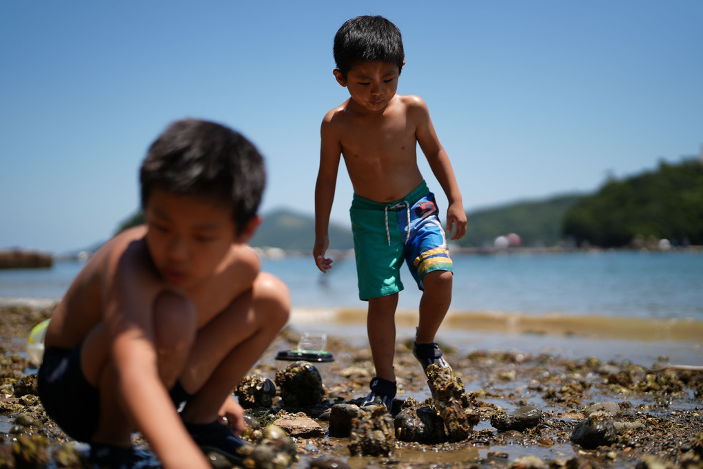 夏　海　子どもは夢中